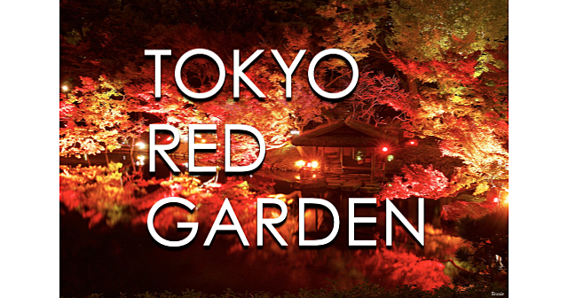 八芳園のライトアップされた日本庭園「RED GARDEN」で紅葉散歩を楽しみます♪