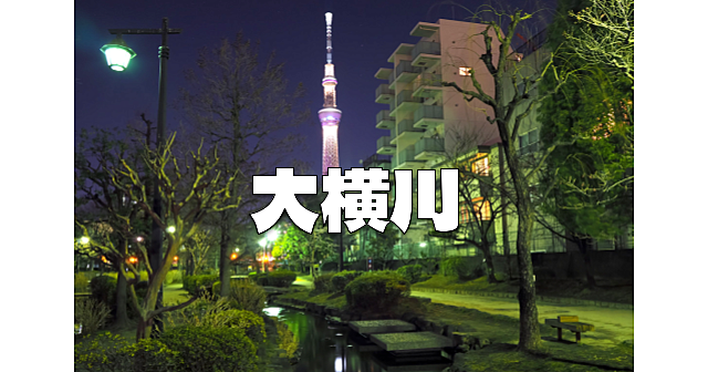 東京スカイツリーから木場まで！大横川（運河）をひたすら歩きます！運動目的の参加OKです♪