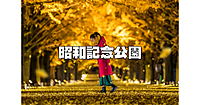 昭和記念公園の「黄葉・紅葉まつり＆秋の夜散歩」でライトアップされたイチョウ並木を楽しみます♪