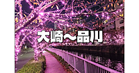 大崎～目黒川〜プリンスホテル日本庭園のイルミネーションと紅葉散歩を楽しみます♪