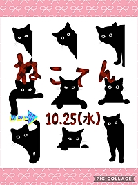 猫好きさん集まれー！動物が好きならどなたでも♫