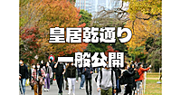 皇居の乾通り一般公開にいきます。皇居の紅葉散歩を楽しみます♪