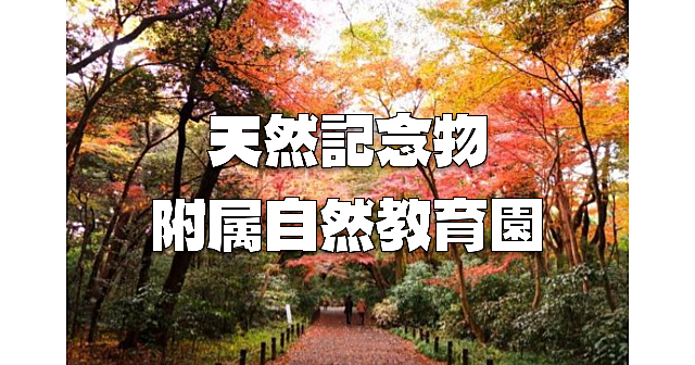 白金台にある園内全域が天然記念物の「自然教育園」で贅沢な紅葉散歩をします♪