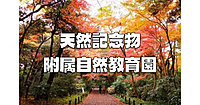 白金台にある園内全域が天然記念物の「自然教育園」で贅沢な紅葉散歩をします♪