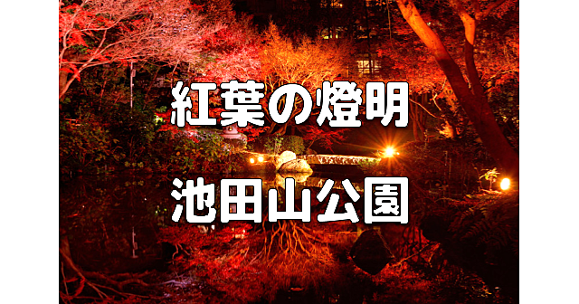 夜間限定公開とライトアップ！高級住宅街にある紅葉が美しい池泉回遊式庭園にいきます♪