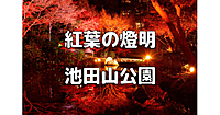 夜間限定公開とライトアップ！高級住宅街にある紅葉が美しい池泉回遊式庭園にいきます♪