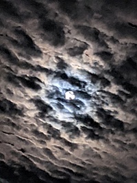 【千葉市稲毛】初心者歓迎！人狼ゲーム会で楽しいひとときを過ごしましょう🐺🌙