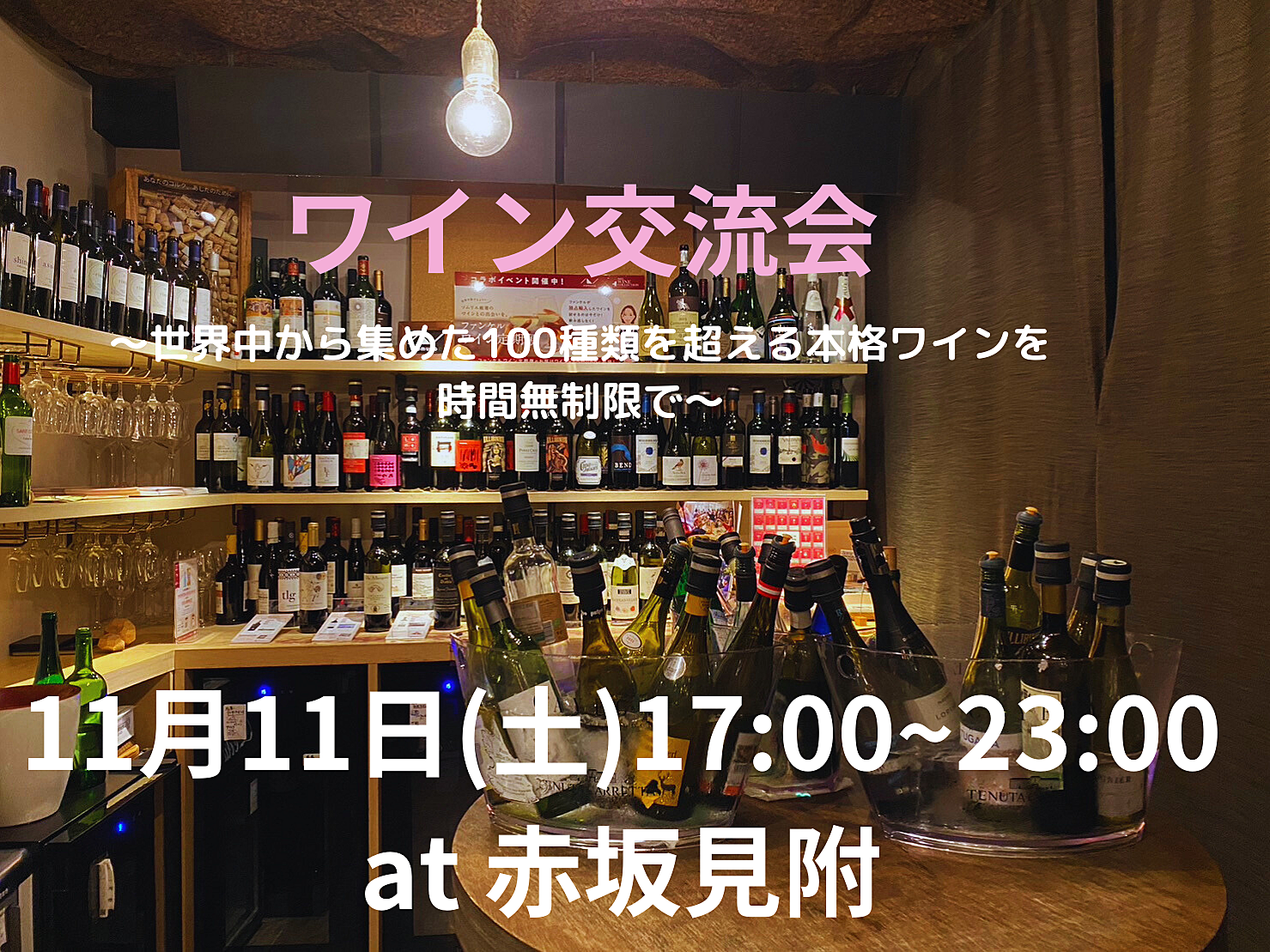 ワインで溺れよう🍷 ～赤坂見附で楽しむ世界中から集めた100種類を超える本格ワインを時間無制限で～