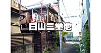 駒込から春日まで！かつて栄えた「白山三業地」の跡地を歩きます！運動メインです♪