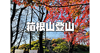 新宿にある都心最高峰の「箱根山」登山と歴史散策と紅葉散歩を楽しみます♪