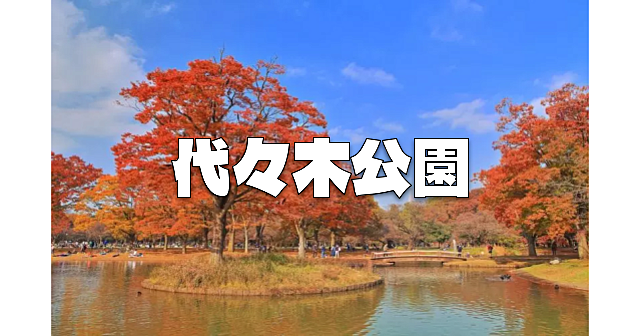 代々木公園で紅葉散歩を楽しみます！史跡巡りも軽くします♪