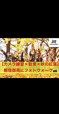 【フォトウォーク×秋の紅葉×カメラ練習/新宿御苑】初心者向け/スマホカメラもOK！
