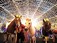 【旅】大井競馬場イルミネーションを見に行こう！