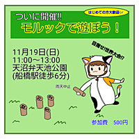はじめての方大歓迎！モルックで遊ぼう！