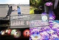 【早割あり/20-30代限定】行田花手水weekでライトアップを楽しむ散策イベント