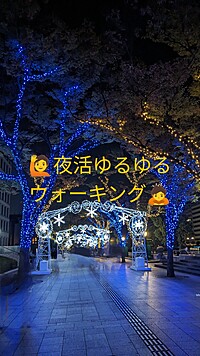 【夜活ゆるゆるウォーキング】心地よい夜風と美しい夜景を楽しむ癒しのウォーキング✨