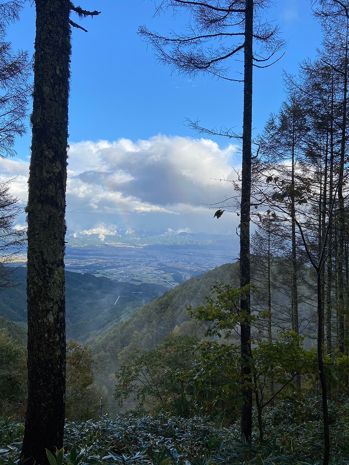 ガイド登山　鎌倉アルプス　12月16日日帰り