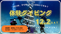 第3回 〜今年最後の体験ダイビング〜