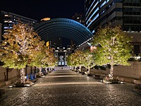 【20代前半主催】🎄クリスマス企画🎅恵比寿で冬のイルミネーションを堪能！