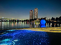 【当日参加OK🙆‍♀️】【入場無料】お台場の浜辺にイルミネーションが出現！？✨️インタラクティブ ビーチアート プロジェクション＆花火を楽しもう🎶✨🌟💫