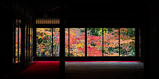 そうだ、京都へ行こう　〜秋の京都で紅葉めぐり🍁〜