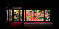 そうだ、京都へ行こう　〜秋の京都で紅葉めぐり🍁〜