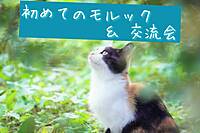 【名古屋開催！20,30代限定】初めてのモルック＆交流会