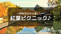 【20代限定】女性主催　紅葉ピクニック