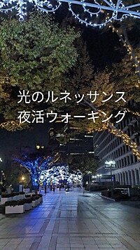 【冬の夜活ウォーキング】光のルネッサンス散策✨