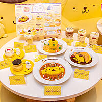 【先着４名無料】ポムポムぷりんカフェに行こう🐕☕️