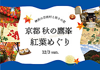 【12/3】京都ラスト紅葉めぐり🍁秋の鷹峯さんぽ