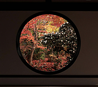 ＊11/25秋のウォーキング〜カフェ〜