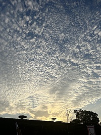 ナイトウォーキング✨その後ご飯でもー😊