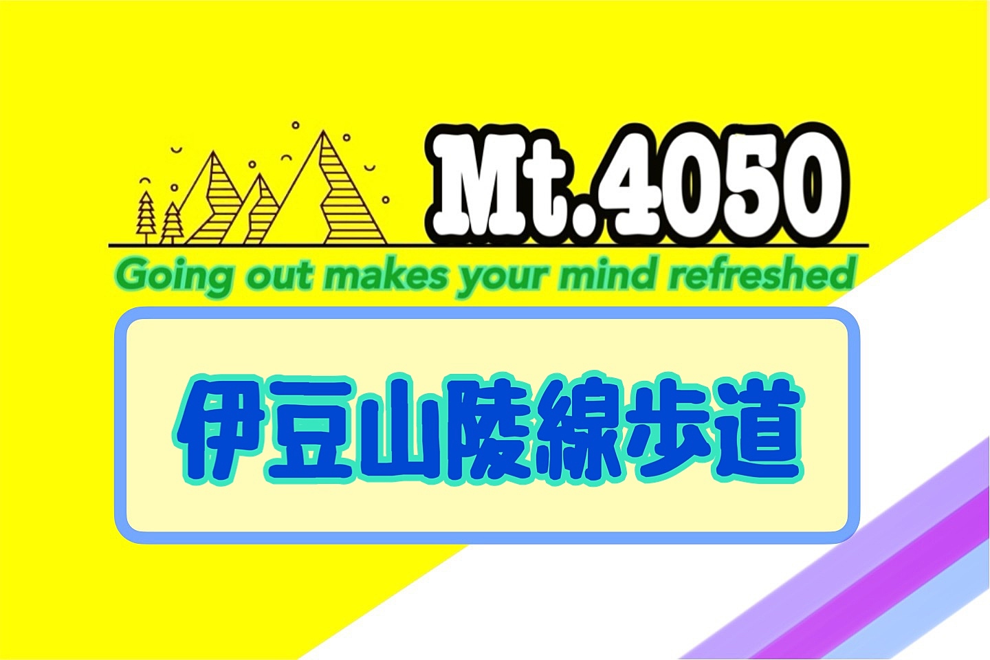 西伊豆で山歩き◇平日休みの方々と小さな春を見つけに行く少人数ハイキング🚗