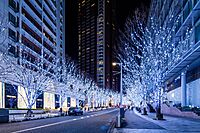 【けやき坂イルミ】白銀の世界でプロフ写真を撮ろう✨