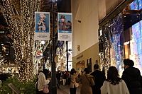 【表参道イルミ】オシャレな街道でプロフ写真を撮ろう✨