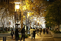 【丸の内イルミ】光の夜にプロフ写真を撮ろう✨