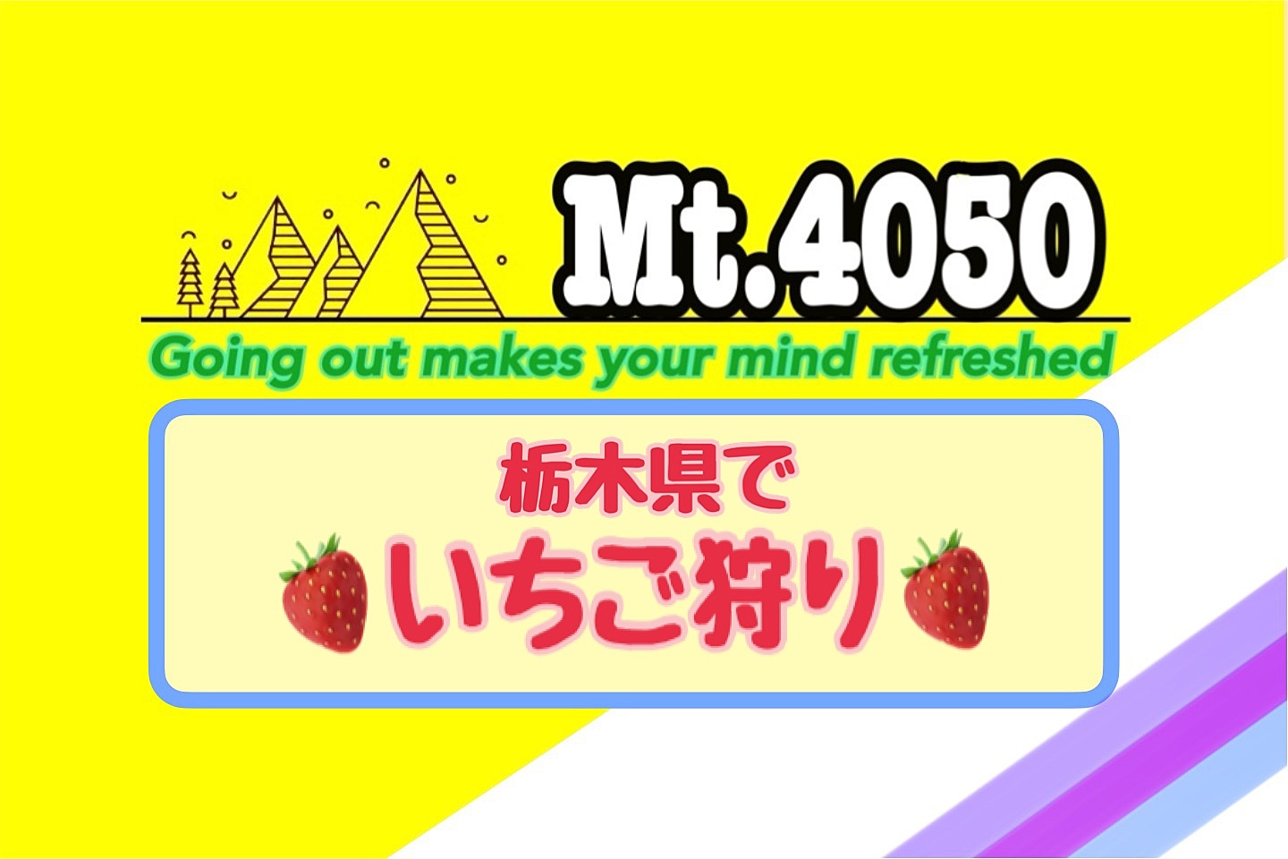 【人数未達中止】制限時間ゆったり60分のいちご狩り🚗