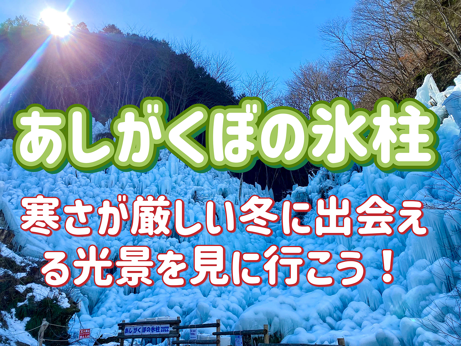 あしがくぼの氷柱＆秩父観光！寒さが厳しい冬に出会える氷の光景！みんなでランチを楽しもう!!
