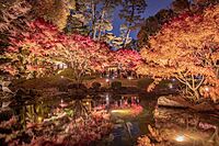 【期間限定】日本屈指の紅葉スポット🍁回遊式日本庭園のライトアップを楽しもう➰🍂🍁