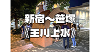 《玉川上水》運動がてら新規開拓。普段いかない街、歩かない道を歩きます！