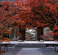 12/3南禅寺とブルーボトルコーヒー🍁☕️