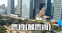 信長も家康もみんな大好き「鷹狩り」の実演を鑑賞します♪