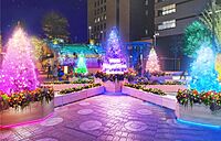 日比谷紅葉&イルミネーション撮影会