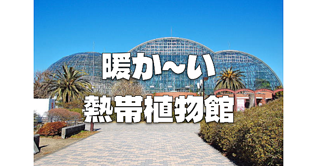 夢の島熱帯植物館（温室）と隣の第五福竜丸展示館に行きます♪