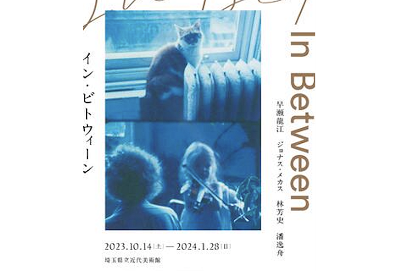 【埼玉県立近代美術館】企画展「イン・ビトウィーン」鑑賞会 & 現代アート交流会【20-30代社会人】