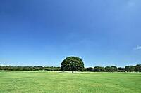 平日の朝から充実！朝散歩会　昭和記念公園を散策