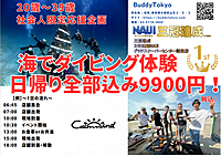 【新年初開催】体験ダイビング！伊豆or城ヶ島