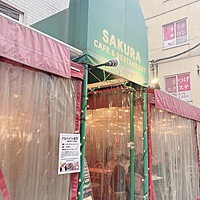 【女性開催】【カフェ会×タロット占い】楽しく運命を探る特別なカフェ会✨