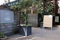 渋谷の隠れ家カフェで朝活しよう！